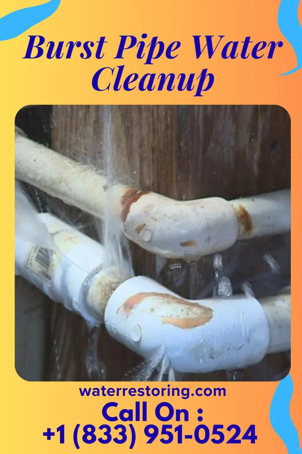Burst Pipe Water Cleanup in Churchville, PA