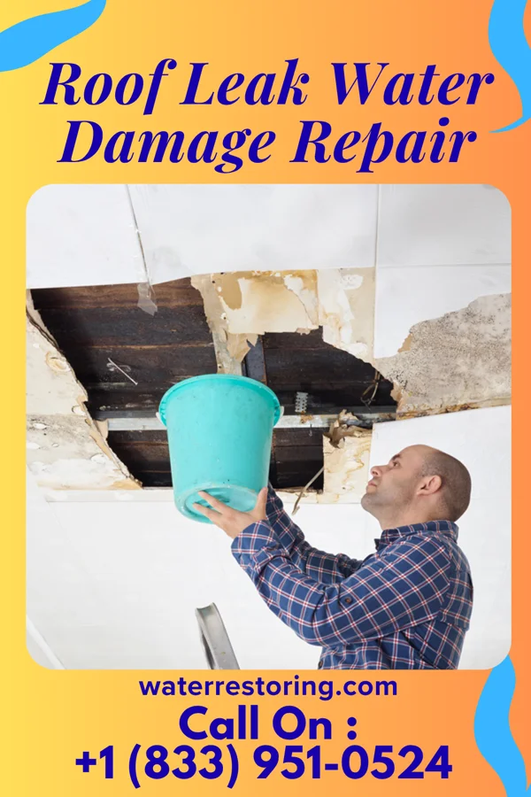 Roof Leak Water Damage Repair in Churchville, PA