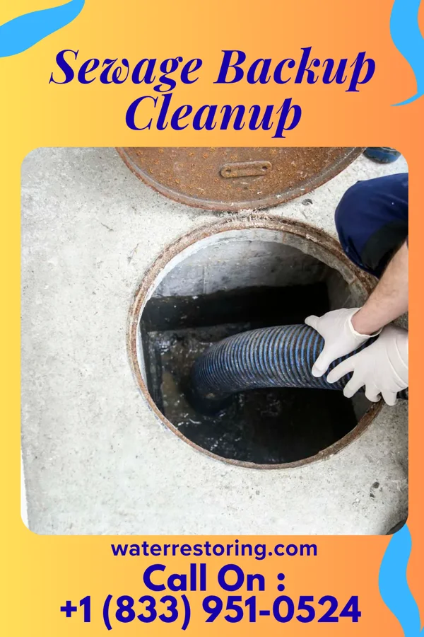 Sewage Backup Cleanup in Churchville, PA