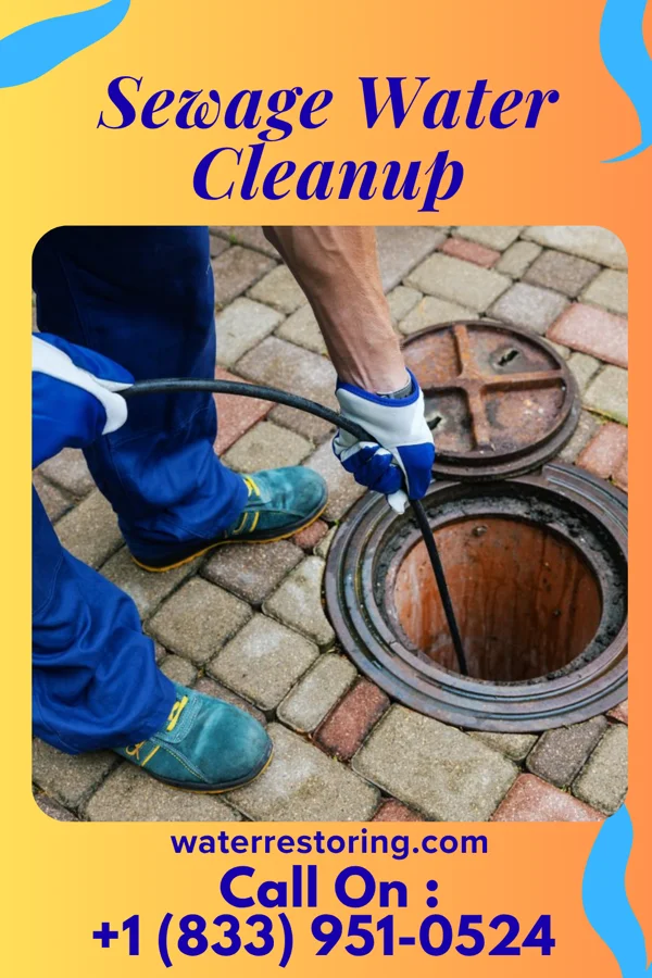 Sewage Water Cleanup in Churchville, PA